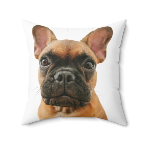 personalized pet products